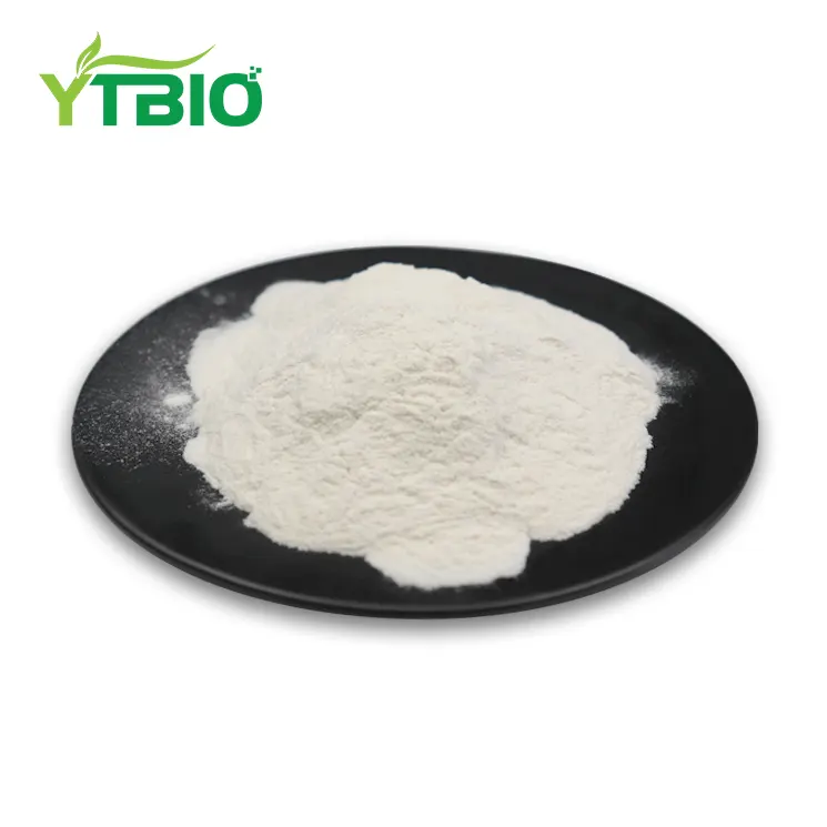 Pure Chitosan Powder